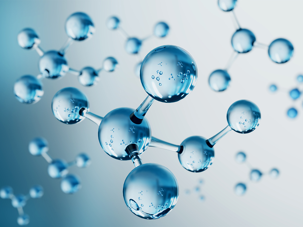 Pharmaceutical Intermediates Pharmaceutical Intermediates