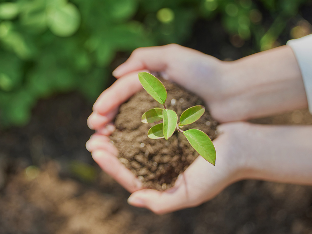 Environmental Protection